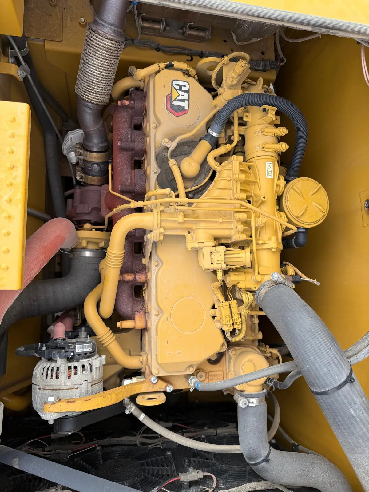 Cat 326 – bilde 5 av 26